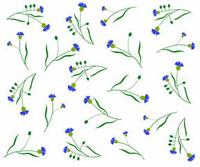 pattern of blue cornflowers on a white background