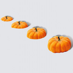 Autumn pumpkins on pastel blue background. Minimal Autumn concept. Fall minimal composition.