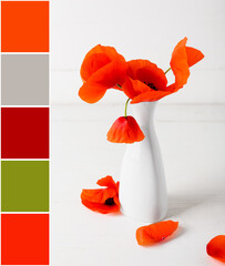 Vase with beautiful red poppy flowers on white wooden background. Different color patterns