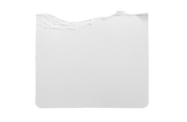 White ripped paper torn edges strips isolated on white background