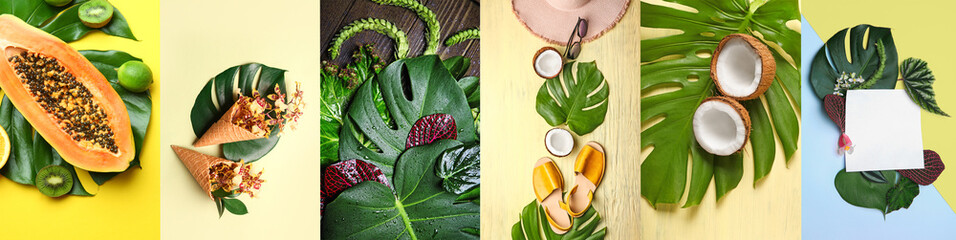 Collage with green tropical monstera leaves and fruits on colorful background