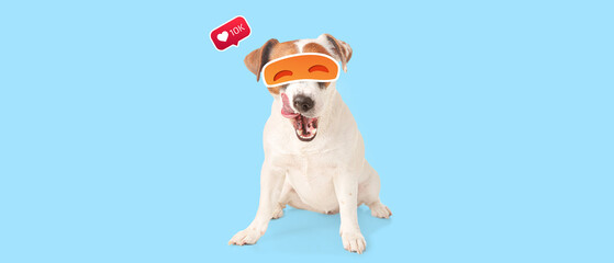 Cute Jack Russel Terrier with drawn eyes and heart on light blue background