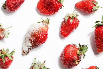 rotten strawberries on white background.global hunger problem. copy space. overconsumption, food waste concept. spoiled, dangerous food. - obrazy, fototapety, plakaty