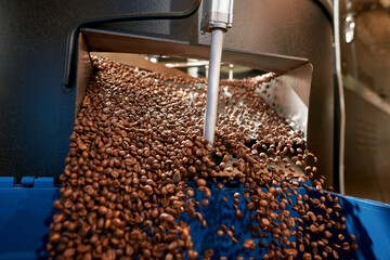 Coffee beans throw in basket from roasting machine