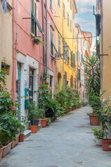 Naklejka premium Glimpse of a Tuscan alley embellished with plants and flowers