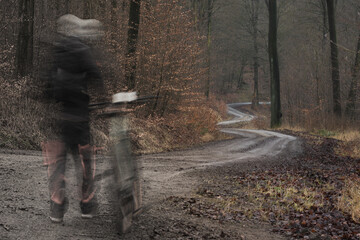 Fototapeta premium ROAD IN THE FOREST