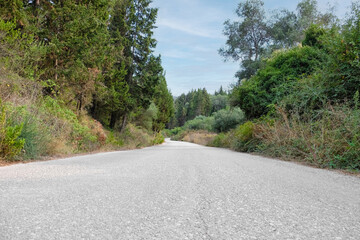 Fototapeta na wymiar Rural road in green forest on summer day