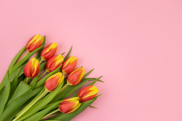 Tulips pink and yellow on a pink background, postcard with space for text, template. The concept of a congratulation, invitation card, thank you card. High quality photo