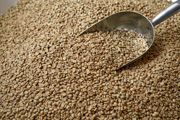 Coffee beans with coffee scoop in metal grinder