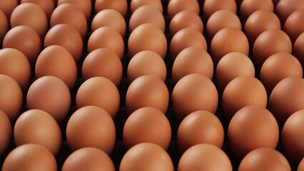 Lots of brown eggs - camera pull out and change perspective. Egg production concept - close up.