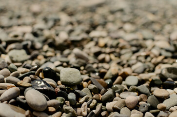 Wet pebbles on the beach. Pebbly sea beach