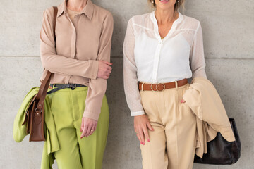 Cropped image of businesswomen near wall. Women in formal clothes standing near wall. Portrait, business concept