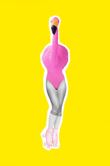 Vertical collage portrait of slim girl legs black white gamma pink flamingo body wear rollerblades...