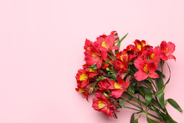 Red alstroemeria flowers on pink background