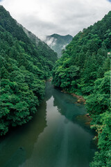 Fototapeta na wymiar River with mountain mist weather day in the forest of Japan. Summer season green tree with the deep river mountain range. Nature background cloudy day in the morning. 