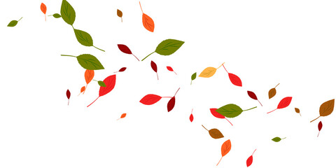 Leaves. Yellow, red, green, orange, brown colors. Scattered autumn leaves. Unusual abstract texture. Vector eps 10.