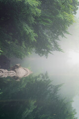 Cold summer season morning in the forest with a lake in Japan, forest reflection and mist weather on the water surface. Green deep water with beautiful small rocks in the lake. Amazing nature  