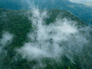 Aerial view of beautiful forest mountain landscape