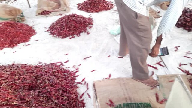A Chili Pepper Seller selling Varieties India Red Dry Chilies Or Mirchi. Chili Seller Selling Chillies Packed in foil.
Red dry chili is kept in sacks in the street shop Market