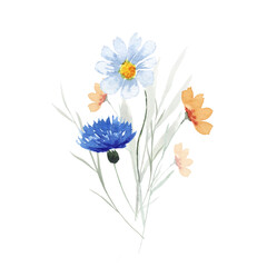 Wildflowers. Watercolor bouquet. Decoration for your design.
