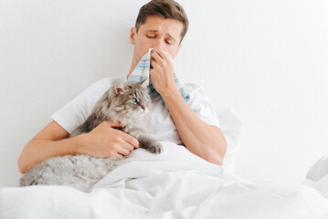Sick young man with handkerchief and fluffy gray cat together on bed in the bedroom. Sad ill guy with symptoms of virus and runny nose hugging pet indoors - obrazy, fototapety, plakaty