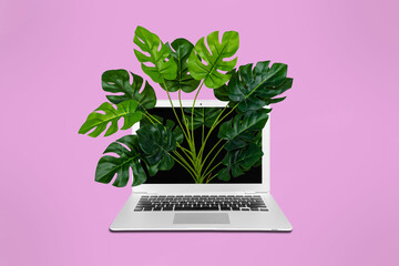 Creative collage picture of wireless netbook growing green plant display isolated on pink background