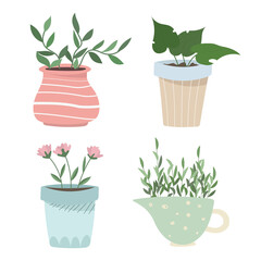 Home plants in flower pot. Houseplants isolated. Trendy hygge style. Hand drawn. Set collection. Print, poster, banner. Logo, label. Vector.