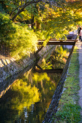 Philosopher's Path at golden hour in autumn with reflections in the water in Kyoto, Japan. A cherry tree-lined canal and pedestrian path popular with locals and tourists, particularly in spring.