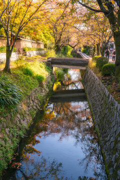 Philosopher's Path at golden hour in autumn with reflections in the water in Kyoto, Japan. A cherry tree lined canal and pedestrian path popular with locals and tourists particularly in spring.