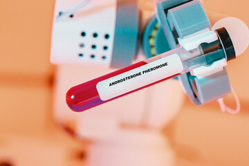 Androstanes Pheromone In test tube in biochemical lab
