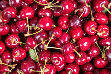 Fresh cherry. Close-up cherries in bulk. cherry background