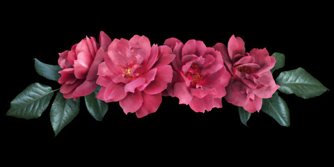 Naklejka premium Red roses isolated on black background. Floral arrangement, bouquet of garden flowers. Can be used for invitations, greeting, wedding card.