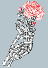 Vector illustration of a skeleton hand holding a rose flower in engraving style