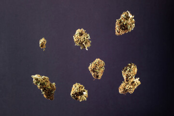 Dry buds of medical marijuana flying on a dark background
