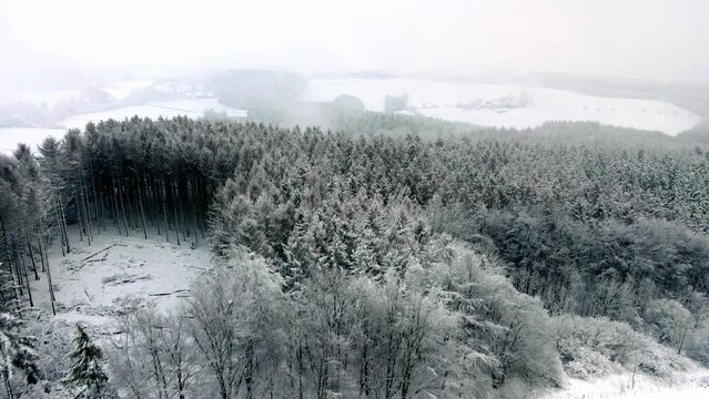 Snowy Winterberg Fly Over Woods