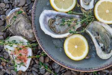 Fresh oysters in lemon and ice shells