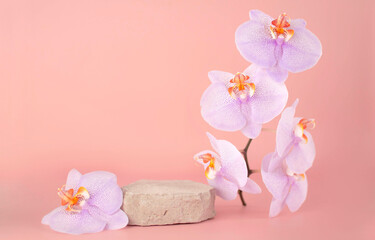 conceptual stage is stage showcase for new product, an advertising sale, banner, presentation, cosmetics. White product podium on pink background with orchid flowers. Layout with space to copy.