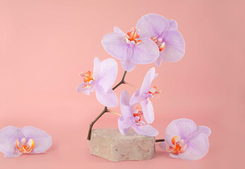 conceptual stage is stage showcase for new product, an advertising sale, banner, presentation, cosmetics. White product podium on pink background with orchid flowers. Layout with space to copy.
