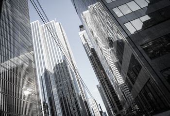 Toronto City Buildings