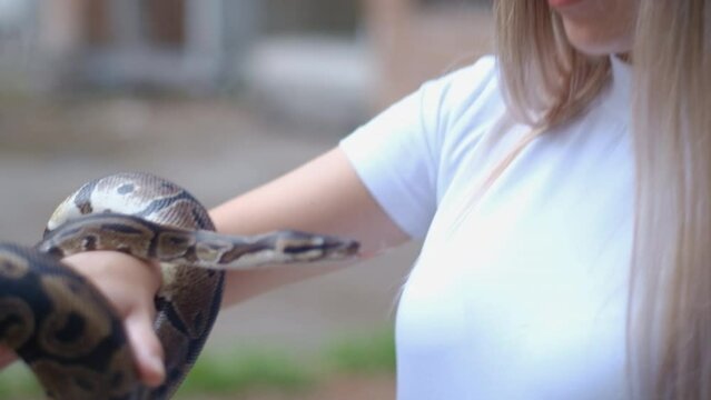 Young blonde female holding a python snake in her hands outside