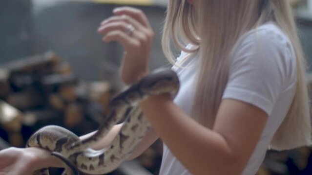 Young blonde female holding a python snake in her hands in an urban environment
