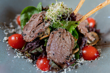 Meat salad with herbs, tomatoes and breadsticks