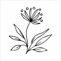 hand-drawn doodle plant element for floral design concept