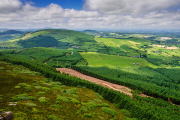 Area in a green forest with freshly cut trees and piles of logs by a small road. County Tipperary Ireland. Forestry industry. Supply of material and fuel. Ecology problem. Aerial view.