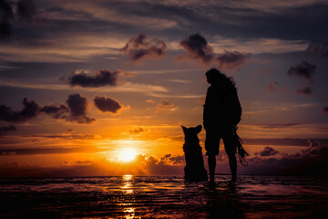 Silhouette of the owner with the dog look at each other against the backdrop of a beautiful sunset