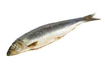 Fototapeta premium Salted and gutted herring on a white background, sea food.