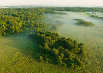 Morning mist haze over forest. Foggy sunrise in field. Nature at dawn in fog, aerial view. Sunny morning scene in misty forest valley. Misty landscape. Sunny foggy hills on sundown. Dawn in hillside.