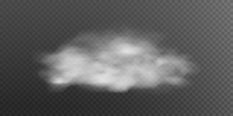 Fog or smoke isolated transparent special effect. White vector background of cloudiness, fog or smog. Vector illustration