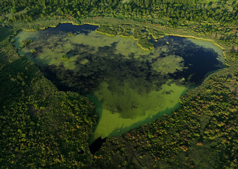 Lake in shape of a heart in forest. Freshwater Lakes. Water supply problems and water deficit, ecology and environmental. Morass and wetlands, aerial view. Mire Conservation. Bog, fen, mire landscape.