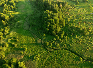 Zigzag River in wild. Water supply. Small river in field and forest in swamp, Aerial view. Wildlife Refuge Wetland Restoration. Green Nature Scenery. River in Wildlife. Freshwater Lakes and Ecosystem. - obrazy, fototapety, plakaty
